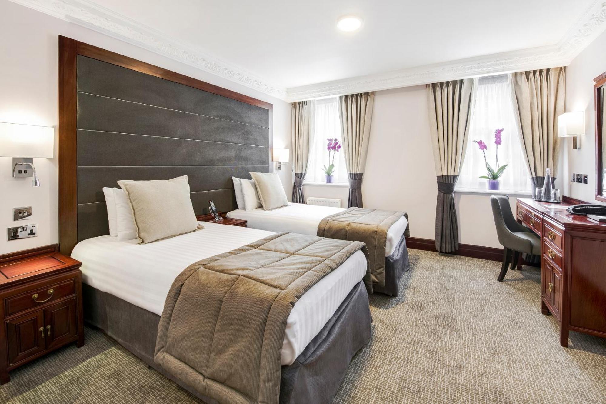 Executive Twin Room,1208645767:JPEG