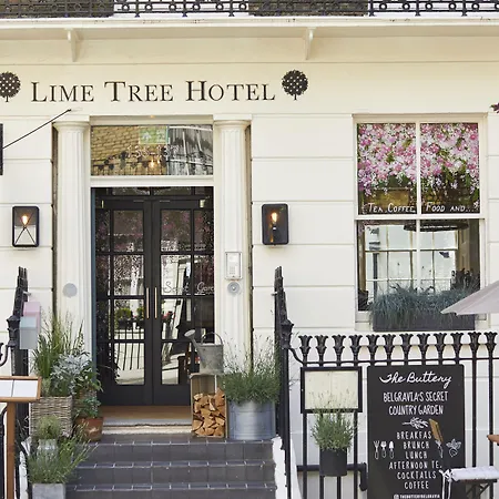 Room Mate Lime Tree-3